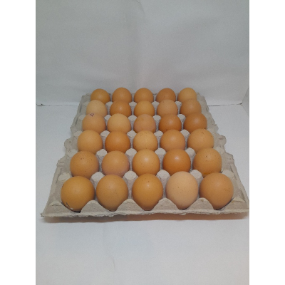 30 ΦΡΕΣΚΑ ΑΥΓΑ ΗΜΕΡΑΣ MEDIUM