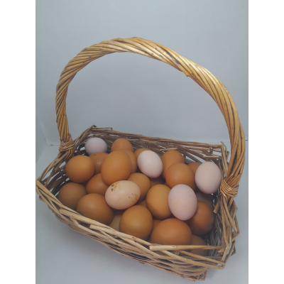 30 ΦΡΕΣΚΑ ΑΥΓΑ ΑΠΟ ΚΟΤΕΣ ΕΛΕΥΘΕΡΑΣ ΒΟΣΚΗΣ (ΔΙΑΛΕΧΤΑ) EXTRA, EXTRA LARGE