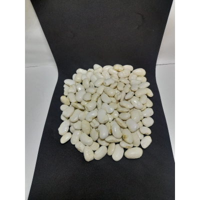 ΓΙΓΑΝΤΕΣ ΧΥΜΑ ΚΑΣΤΩΡΙΑΣ 1000γρ.