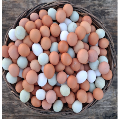 30 ΦΡΕΣΚΑ ΑΥΓΑ ΑΠΟ ΚΟΤΕΣ ΕΛΕΥΘΕΡΑΣ ΒΟΣΚΗΣ (ΔΙΑΛΕΧΤΑ)  EXTRA LARGE